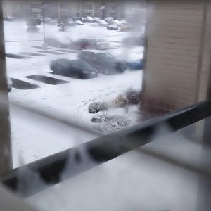 Meet your Posher, Alfred